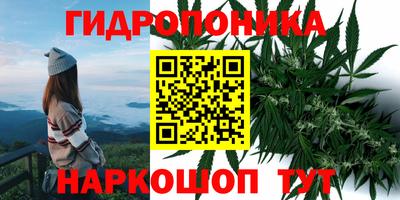 таблы Кингисепп