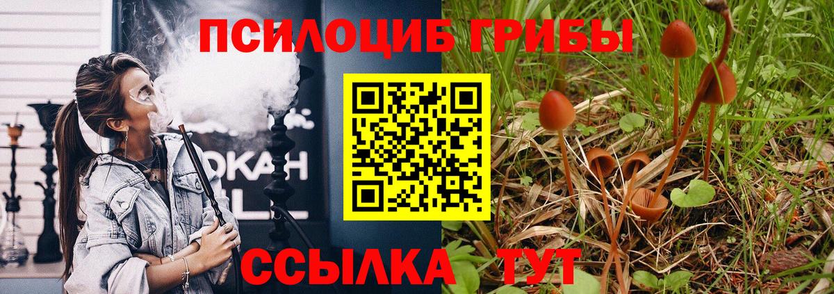 Галлюциногенные грибы Cubensis Красногорск
